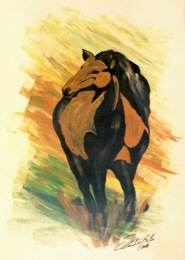 312 Pferd
