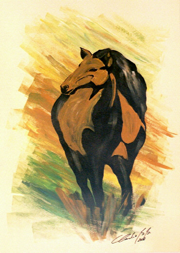 312 Pferd